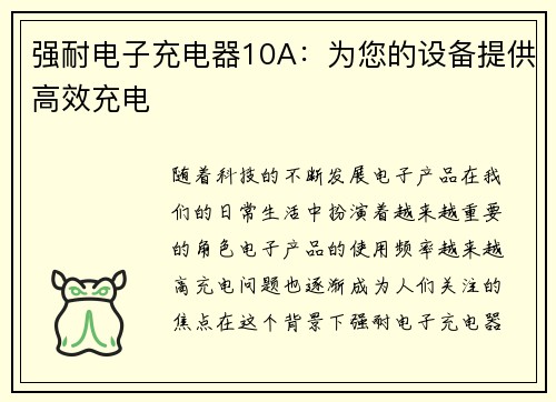 强耐电子充电器10A：为您的设备提供高效充电